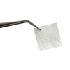 evo_pinza-print-.png